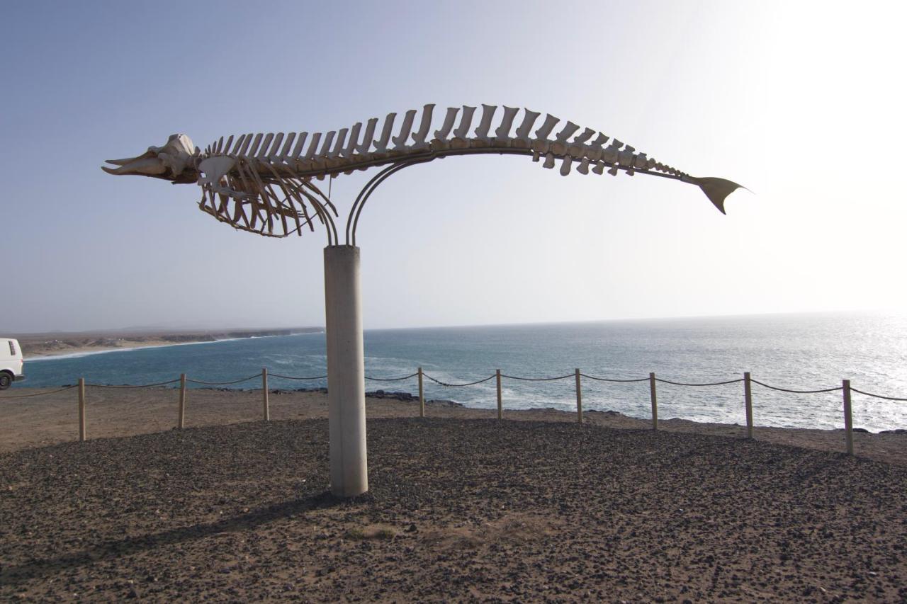 הוילה לה אוליבה The Wind'S Breath, Perfect For Relaxing Getaway מראה חיצוני תמונה